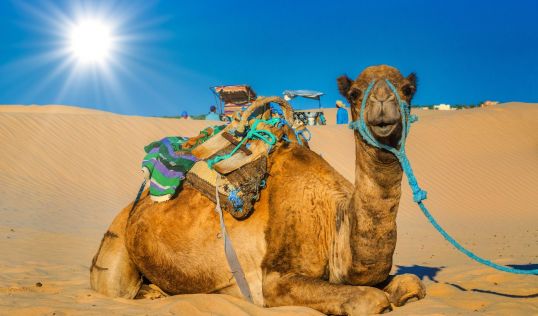 Нова година 2026 в Тунис, със самолет от София - 6 нощувки